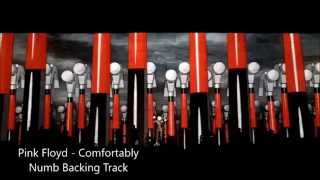 Pink Floyd  Comfortably Numb Backing Track [upl. by Oinotnaocram]