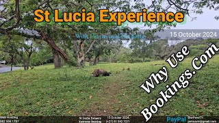 St Lucia Experience  15 October 2024  Why Use BookingsCom [upl. by Stralka]