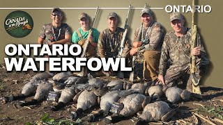 Intense Goose and Duck Hunting in Ontario  Canada in the Rough [upl. by Kelson]