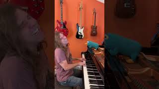 TOM TRAUBERTS BLUES WALTZING MATILDA by TOM WAITS scottchasolen pianocover pianoballad [upl. by Eiramnna]