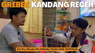 GREBEK KANDANG RECEH  Grebek Kandang Pengusaha Grooming Bang Andri [upl. by Aletsirc]