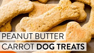 Soft Peanut Butter Carrot Dog Treats  Sallys Baking Recipes [upl. by Elysia183]