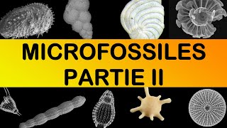 Les MICROFOSSILES Partie II par Mme RuaultDjerrab [upl. by Narej173]