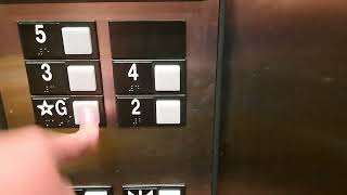 Otis Series 1 Hydraulic Elevators at Hampton Inn near Walden Galleria Mall Cheektowaga NY [upl. by Yrtneg]