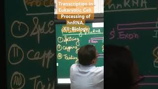 Transcription in Eukaryotic Cell andProcessing of hnRNA Biology XII ampNEET [upl. by Valenba]