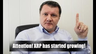 XRP WILL START GROWING SOON XRP PRICE AFTER HALVING [upl. by Ahsein]