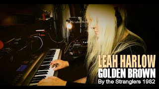 Golden Brown  Cover of The Stranglers by Leah Harlow [upl. by Graves153]