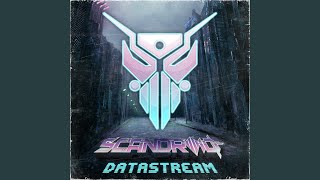 Datastream [upl. by Enneirdna]