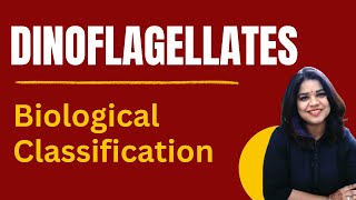 Dinoflagellates Characteristics amp Role  Class 11 NCERT Biology  Biological Classification [upl. by Relda]