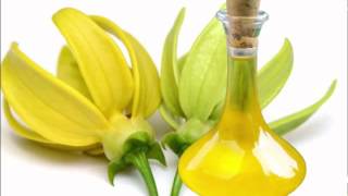 Ylang Ylang Oil Benefits [upl. by Dinan]