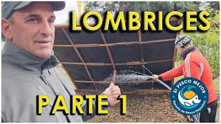 LOMBRICES CRIA DIRECTA A LA TIERRA  PARTE 1 [upl. by Dulcie]