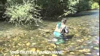 Techniques de Pêche à la Truite au Vairon Manié [upl. by Llenoil]