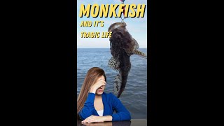 Do you know about the Tragic life of a Monkfish shorts [upl. by Alleen464]