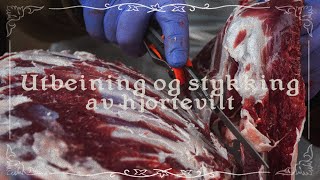 Utbeining partering og stykking av hjortevilt  Bernt gjør ting han ikke kan EP 16 [upl. by Demah658]