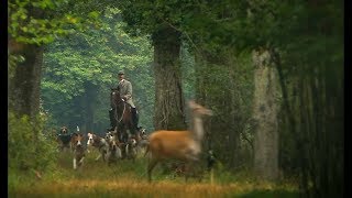 35000 Jahre Hund Vom Jagd zum Assistenzhund [upl. by Gifford]