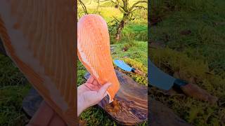 SALMON cooked and smoked over fireoutdoorcooking cooking asmr food chef salmon [upl. by Navoj]