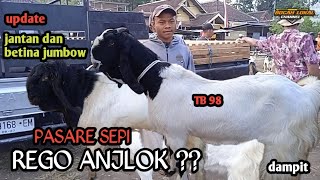 TERUPDATE HARI INI‼️PASAR SEPI HARGA ANJLOK DI TGL 25 2024 [upl. by Nason]