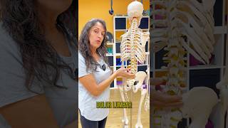 DOLOR LUMBAR dolorlumbar lumbalgia espaldabaja rolfing dolordeespalda sacro saludcorporal [upl. by Iturk]