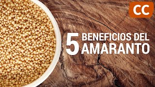 5 Beneficios del Amaranto  Ciencia de la Comida [upl. by Newcomb687]