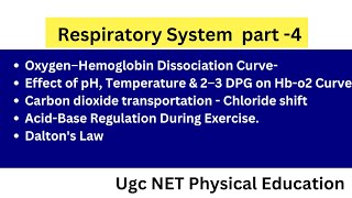 Respiratory System L4 Transportation of Oxygen O2–Hb Dissociation CurveUGC NET Physical Education [upl. by Gannon]