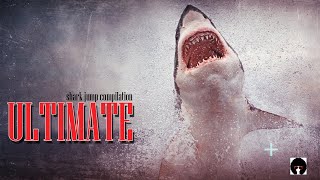 The ultimate SHARK JUMP and BREACHING compilation Great White Sharks [upl. by Nhor]