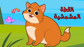 اغنية القطه المشمشيه  جدو علي  قناة بون بون للأطفال [upl. by Claude]