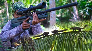 Kebun kelapa milik haji bejo banyak hama tupai  Berburu Tupai [upl. by Aggy432]