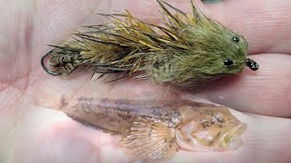 Tying an Articulated Short Strike Sculpin Fly Fly tying so easy a 3rd grader can do it [upl. by Faye]