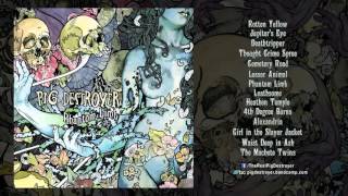 PIG DESTROYER  Phantom Limb Full Album Stream [upl. by Nywroc]