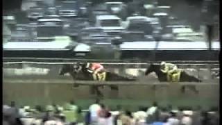 Preakness Stakes música quotMaryland My Marylandquot  Sunday Silence bate a Easy Goer [upl. by Namzzaj262]