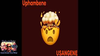 Ice Beats Slide X Sbuda Maleather  Uphambene Official Audio ｜ Amapiano [upl. by Seigler]