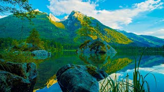 Beautiful Lake in Nature No Sound  4K UHD [upl. by Annaujat]