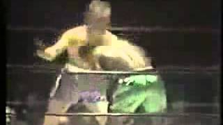 BOXING RING Felix Savon vs David Tua Boxing Fights [upl. by Lebiram]