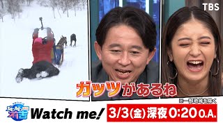 ぽんぽこ 高木ひとみ 〇が､犬ぞりレースに挑戦『ジロジロ有吉』33金【過去回はパラビで配信中】 [upl. by Ronaele]