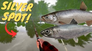 SILVER MAKING SPOT IN SEVERSKY DONETS RIVER 922 Russian fishing 4 [upl. by Kciremed465]