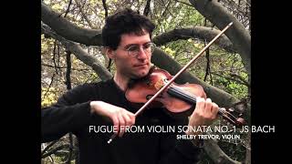 Fugue from Sonata No 1 g minor  JS Bach  Shelby Trevor Violin [upl. by Eriha50]