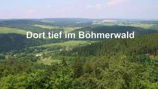 Dort tief im Böhmerwald Ernst Mosch und seine Original Egerländer Musikanten Blasmusik [upl. by Seidule419]