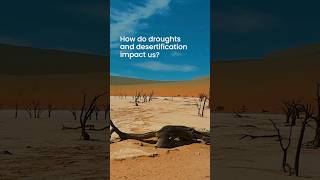 World Day to Combat Desertification and drought [upl. by Yenitsed733]