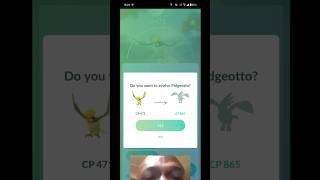 ✨Shiny Pidgey evolution pokemonpokemongoshinyevolutiongamingtrendingviralvideoshortsfeed [upl. by Thinia71]