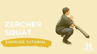 How to Zercher Squat [upl. by Nerek]