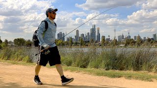 This Urban Lake is FULL of Surprises  Melbourne Fishing at Albert Park [upl. by Nettirb]