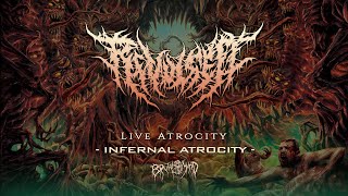 REVULSED  Infernal Atrocity  Live Atrocity  DVD  BRUTAL MIND [upl. by Neleh]