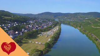 Brauneberg an der Mosel [upl. by Nnairret]