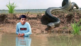 Anaconda Snake Attack Fish Hunter  Fun made Giant Snake Attack and Rescue Film [upl. by Thorr]