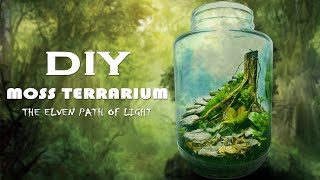 DIY Moss Terrarium  The Elven Path of Light  Terrascaping [upl. by Quinton]