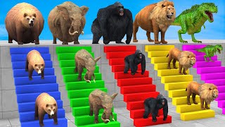 5 Giant Duck CartoonCowElephantLionTRex Paint Wild Animals Crossing Fountain Funny Cage Game [upl. by Arahset]