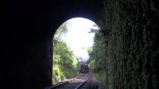 Tren de la Araucania en Afquintue [upl. by Reinertson]