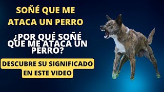 ¿Qué significa soñar con perros que te atacan [upl. by Jaco]