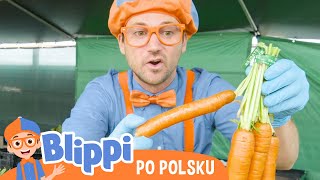 Warzywa i owoce na roli  Blippi po polsku  Nauka i zabawa dla dzieci [upl. by Suisyola]