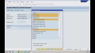 SAP S4 HANA SD 2024 Sales Order Delivery amp Billing Basic Sales Order Process 11 [upl. by Jemie]